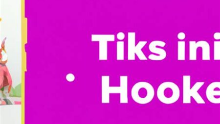 TikTok İçerik Takvimi Oluşturma